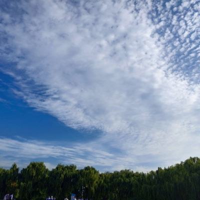 幻想q传oppo版下载